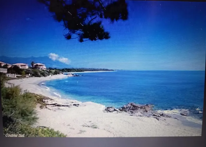 T3 Bord De Corse N 138